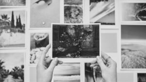 Nikon 2026年Nikon Tour 下半期の開催日程を正式発表