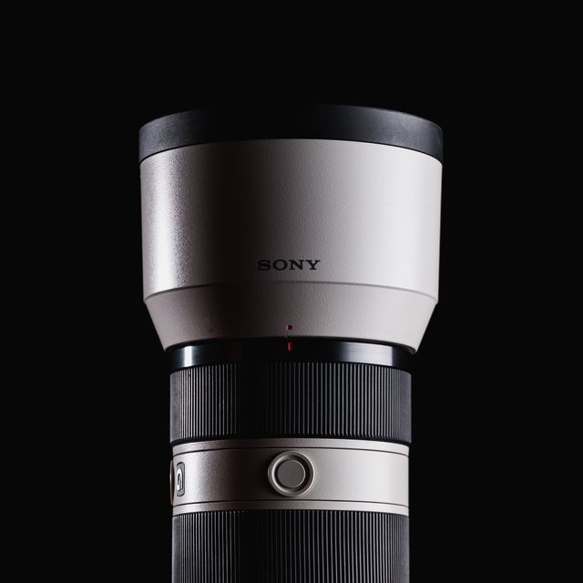 Sony望遠レンズ+テレコン│安価に実現する600mm・800mm超望遠ランキング