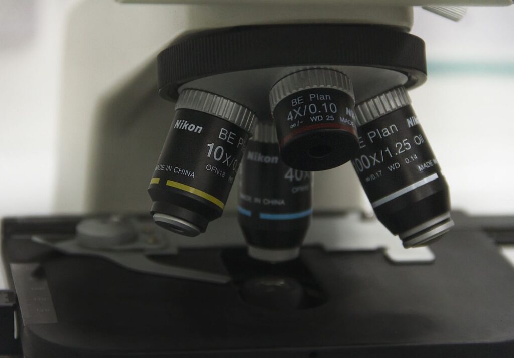 Nikon Small World in Motionの優勝動画 AI使用疑惑で再審査へ