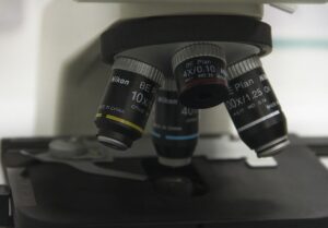 Nikon Small World in Motionの優勝動画 AI使用疑惑で再審査へ